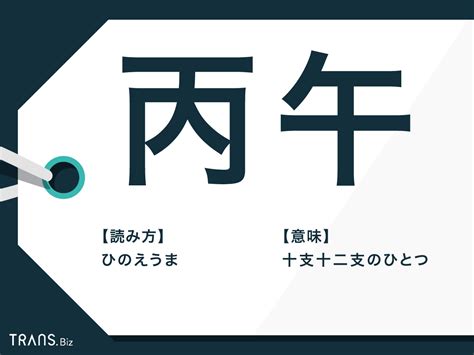 丙午馬|丙午(ヘイゴ)とは？ 意味や使い方